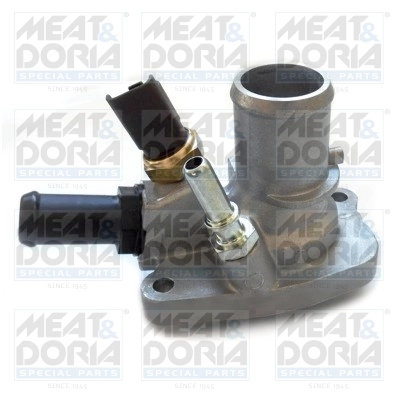 Thermostat, coolant